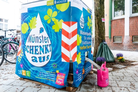 „Münster schenkt aus“: Gemeinsame Hilfe für Straßenbäume