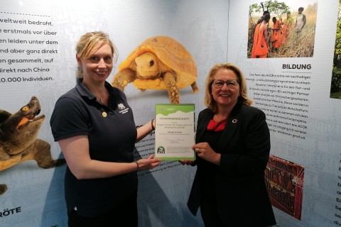 Eine Vision wird Wirklichkeit: Die Rettungsmission der Gelbkopfschildkröten