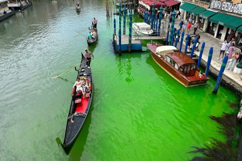 Grüner Canal Grande in Venedig: Grund wohl klar