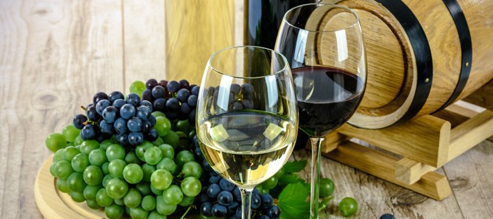 Wein, Genuss & Kochen