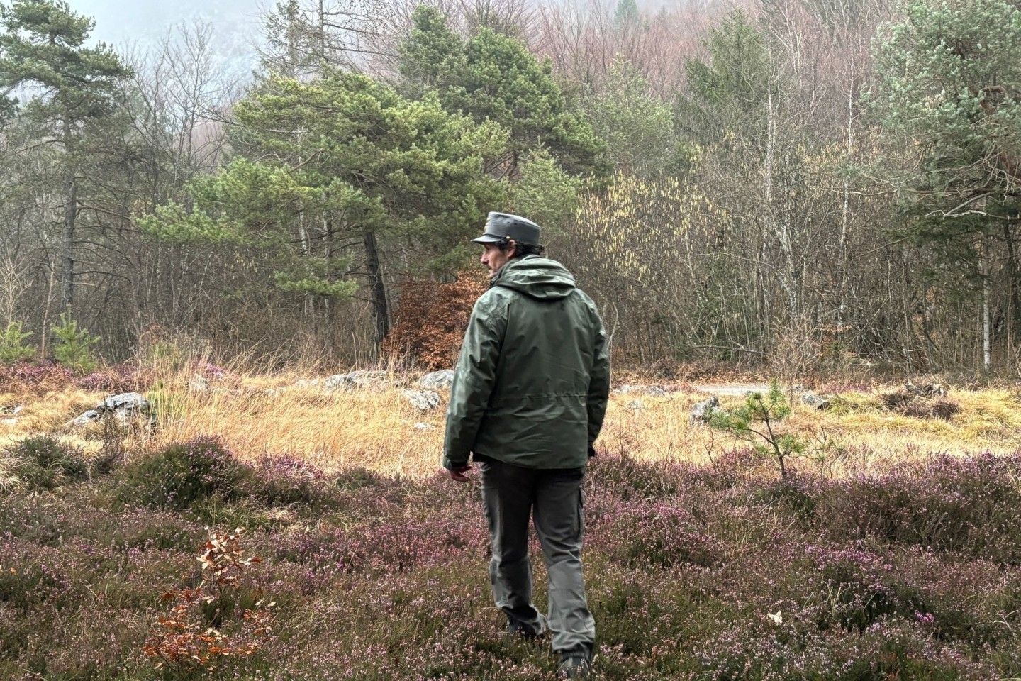 Ein Mitarbeiter des Forstkorps im Trentino untersucht ein Waldstück. Im Trentino leben durch ein erfolgreiches Wiederansiedlungsprojekt wieder Braunbären.