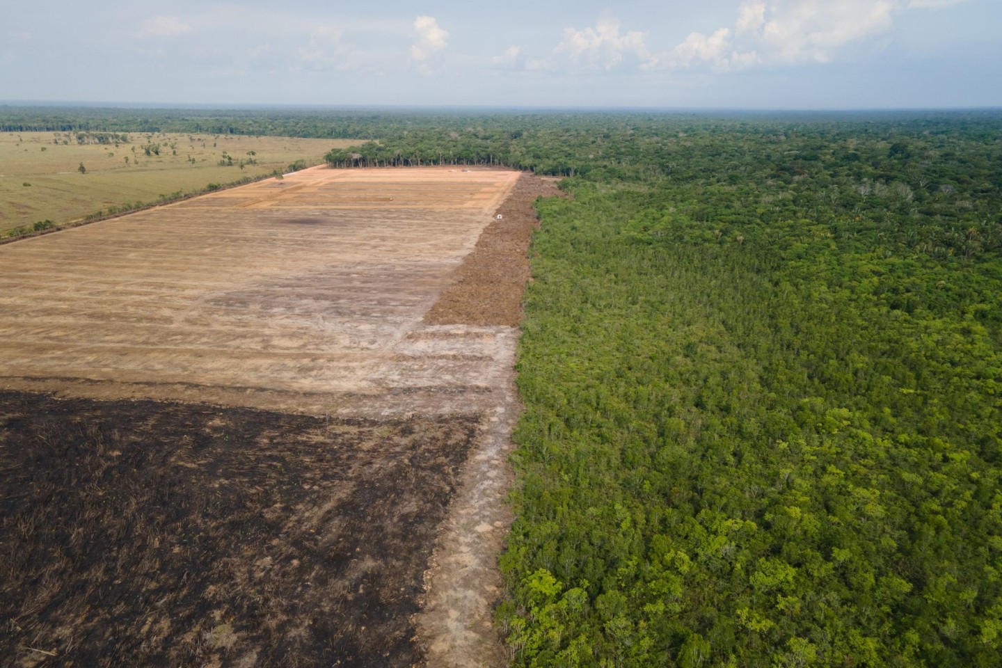Das Luftbild zeigt eine verbrannte und abgeholzte Fläche im brasilianischen Amazonas-Gebiet.