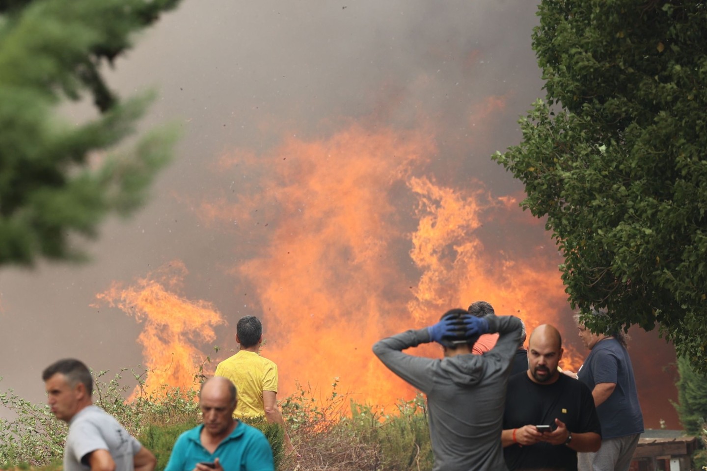 Ein Waldbrand in Anon de Moncayo. Dort hatten am Wochenende etwa 1500 Menschen ihre Häuser verlassen müssen.