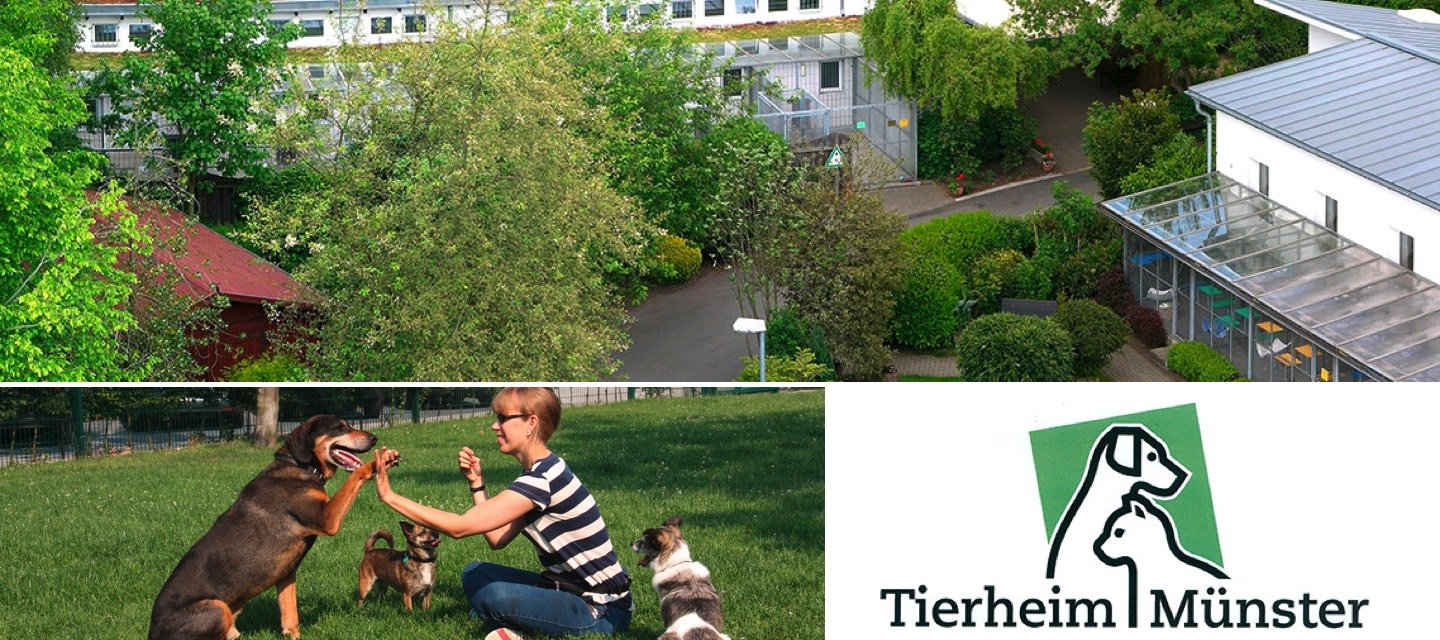 Tierheim Münster - 1. Bild Profilseite